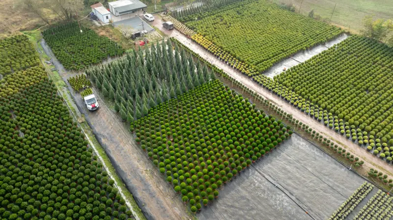 商超垃圾桶与家用垃圾桶选型对比:材质与容量差异解析